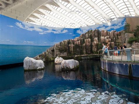 Image Gallery montreal biodome