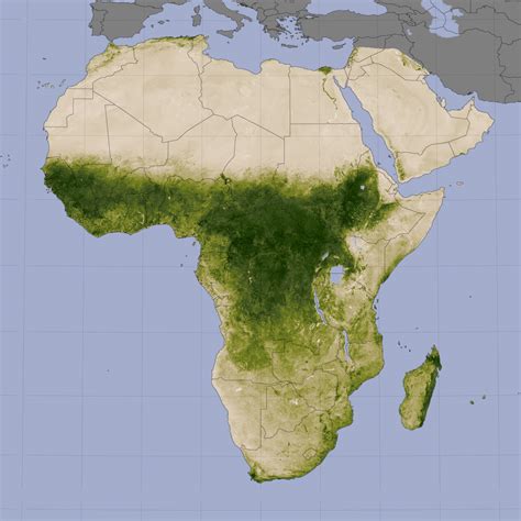 Image Gallery north africa vegetation