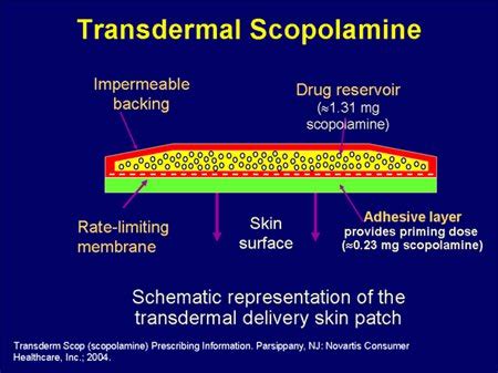 Image Gallery scopolamine effects