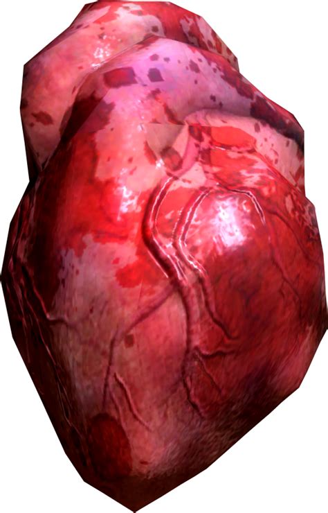 Image   Human heart.png   The Elder Scrolls Wiki