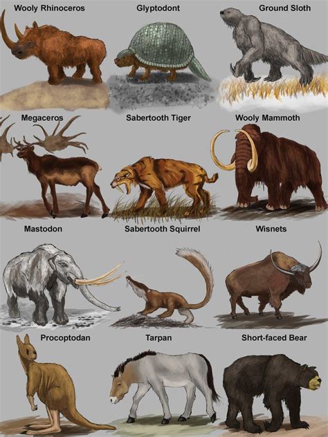 Image result for prehistoric mammals | Prehistoric Mammals ...