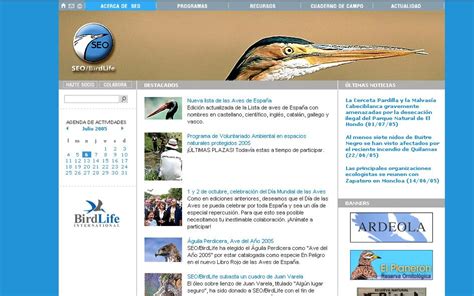 Imagen de la nueva web de la Sociedad Española de Ornitología