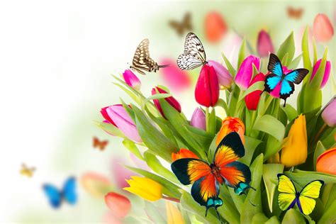 Imagen HD para recibir la primavera | Banco de Imágenes Gratis