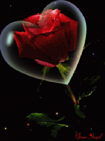 Imagenes Animadas De Corazones Y Rosas Rojas