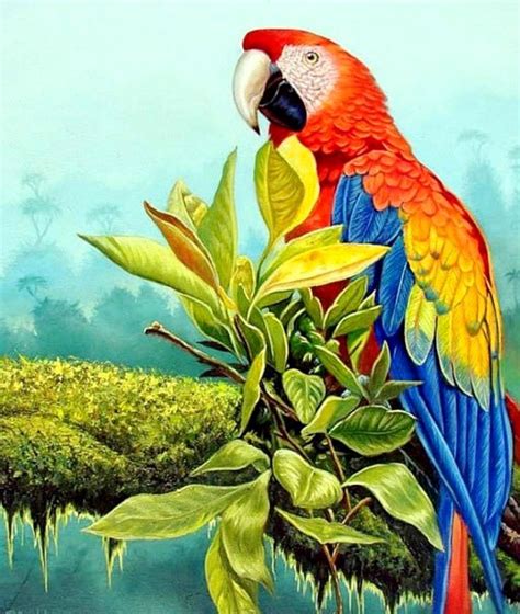 Imágenes Arte Pinturas: Cuadros de aves exóticas al oleo