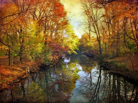 Imágenes Arte Pinturas: Quieres ver paisajes del otoño ...