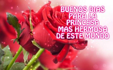 Imágenes Bonitas De Buenos Días Con Flores Y Frases