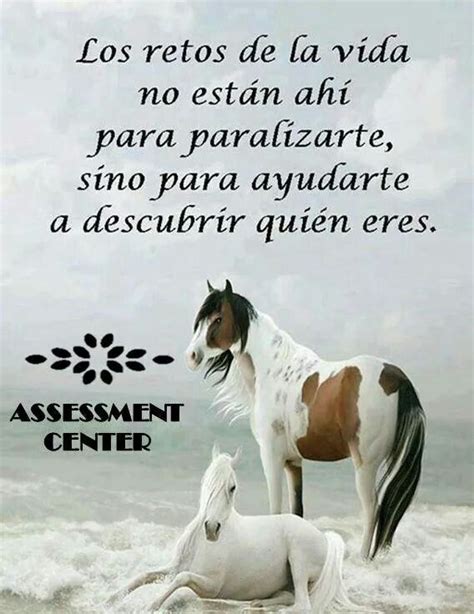 Imagenes bonitas de caballos con frases cortas de ...