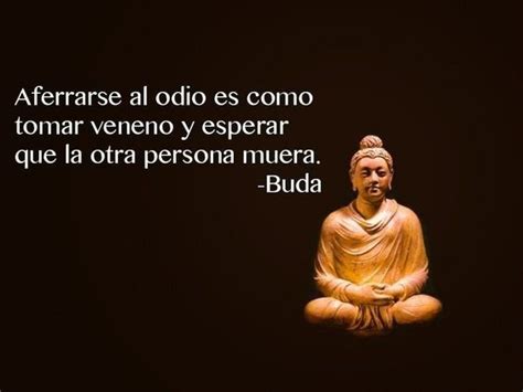 Imágenes con frases sabias de Buda para reflexionar y ...