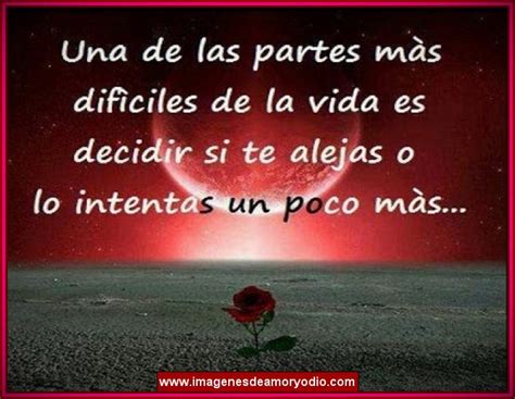 imagenes de amor con frases de te amo Archivos | Imagenes ...