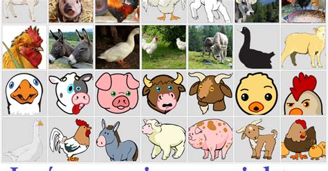 Imágenes de animales de granja sin copyright