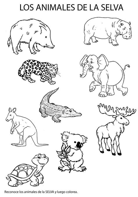 imagenes de animales de la selva para colorear   Selva ...