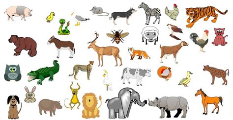 Imágenes de Animales para niños