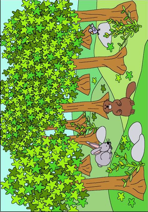 Imágenes de bosques para niños   Imagui