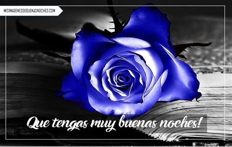 Imágenes De Buenas Noches Con Rosas Hermosas Y Mensajes ...