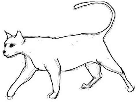 Imagenes de Como Dibujar un Gato Facil | Dibujos de Gatos