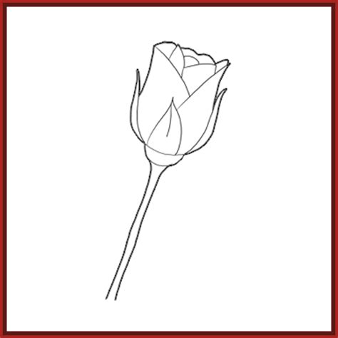 Imagenes de Dibujos a Lapiz de Rosas Geniales | Imagenes ...