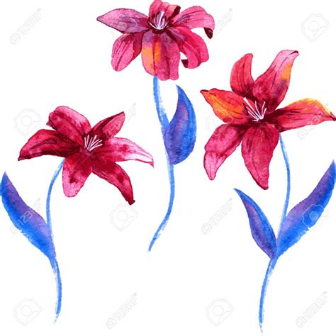 Imagenes De Dibujos De Flores A Color