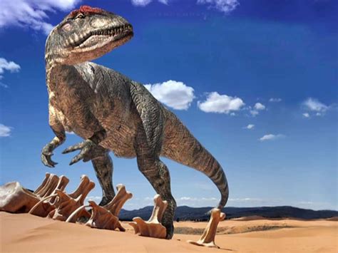 Imagenes de Dinosaurios  buena calidad    Taringa!
