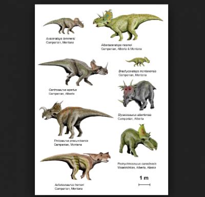 Nombre De Dinosaurios - SEONegativo.com