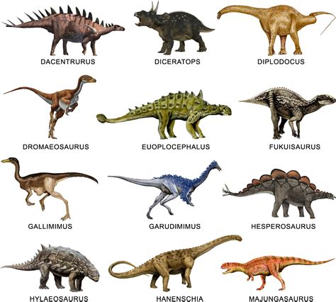 Imagenes de dinosaurios con sus nombres   Imagenes de ...