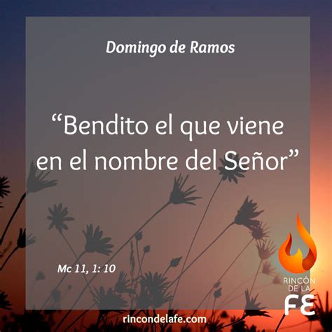 Imágenes de Domingo de Ramos | Rincón de la Fe