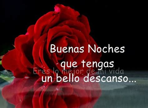 Imagenes De Flores Con Frases De Buenas Noches