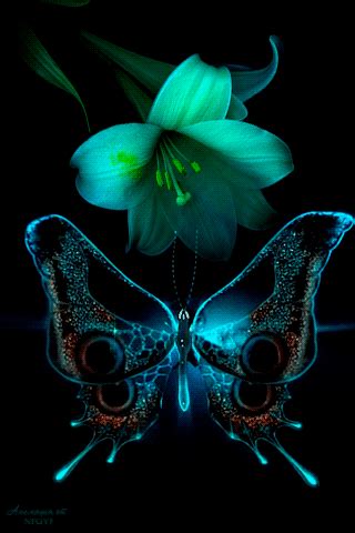 Imagenes De Flores Con Mariposas Con Movimiento