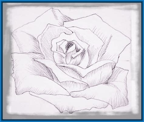 Imagenes De Flores En Lapiz Para Enamorados | Dibujos de ...