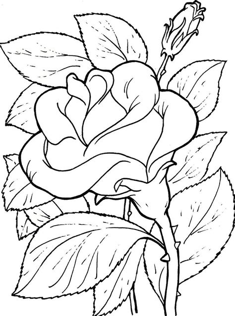 Imagenes de flores para colorear y dibujar