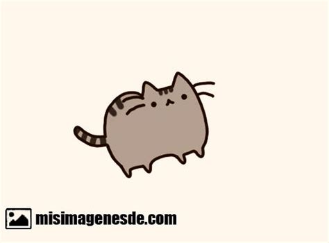 Imágenes de gatitos kawaii | Imágenes