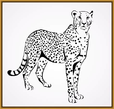 Imagenes de Leopardos para Colorear e Imprimir | Fotos de ...