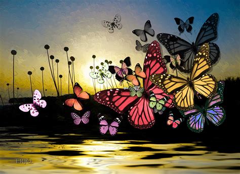 Imagenes De Mariposas De Colores. Perfect Imagenes De ...