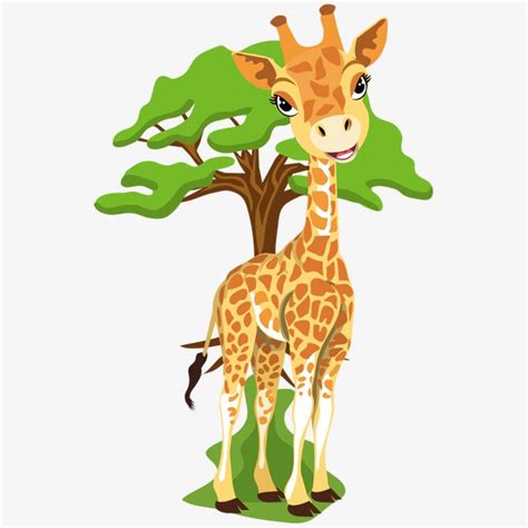 imagenes de portaretratos de jirafa jirafa animal animales ...