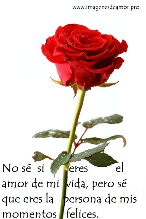 Imágenes de rosas con poemas cortos