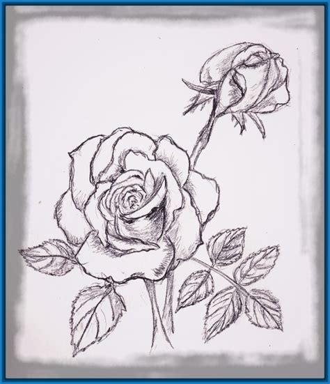 Imagenes De Rosas Dibujadas Con Lapiz | Dibujos de Amor a ...