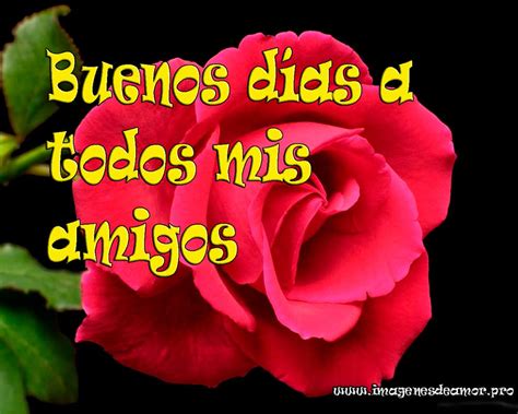 Imágenes de Rosas para desear Buenos Días
