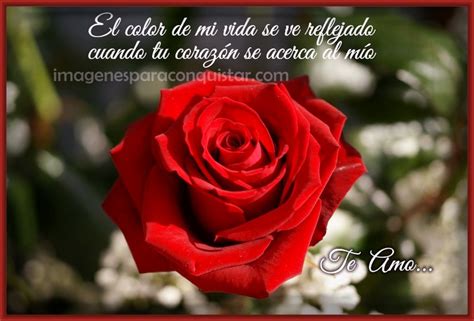 imagenes de rosas rojas hermosas con movimiento Archivos ...