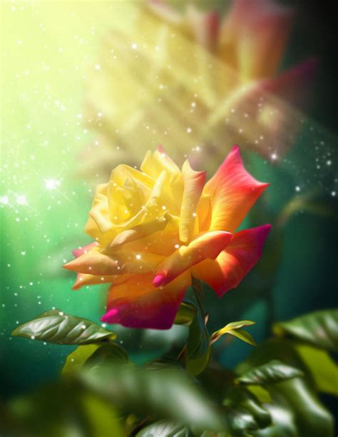 Imagenes De Rosas Y Flores Hermosas