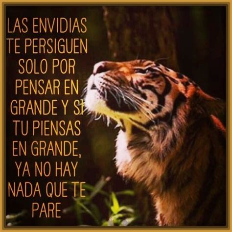 Imagenes de Tigres con Mensajes y Frases | Fotos de Tigres