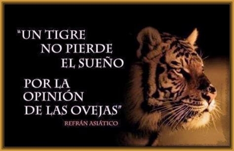 Imagenes de Tigres con Mensajes y Frases | Fotos de Tigres