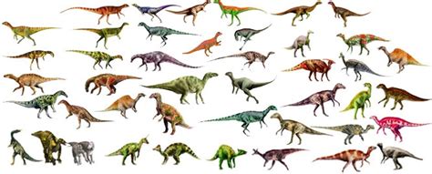 Imágenes de tipos de dinosaurios | Imágenes