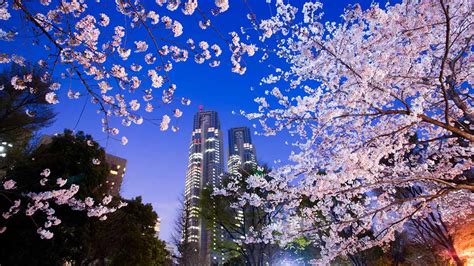 Imagenes De Tokio Ciudad Mega Metrópolis