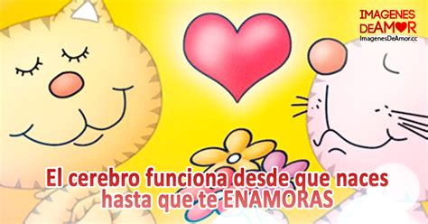 Imágenes graciosas de amor animadas para compartir gratis