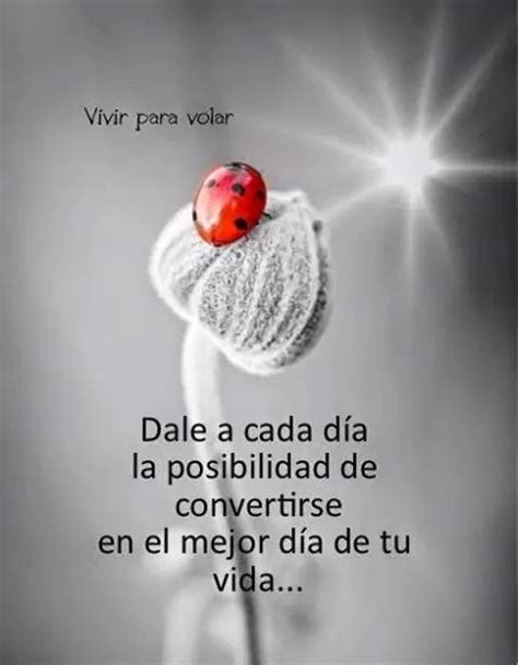 Imagenes Hermosas Con Frases Para Reflexionar Bonitas ...