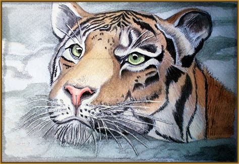 imagenes para dibujar de tigres Archivos | Imagenes de Tigres