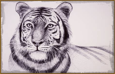 Imagenes para Dibujar de Tigres con Técnica de Lápiz ...