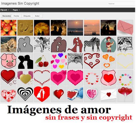 Imagenes Sin Copyright | descargar y usar imagenes sin ...