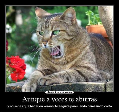 Imágenes y Carteles de ABURRAS | Desmotivaciones