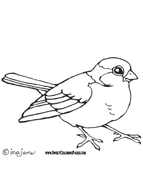 Imagens de aves e pássaros para imprimir e colorir ...
